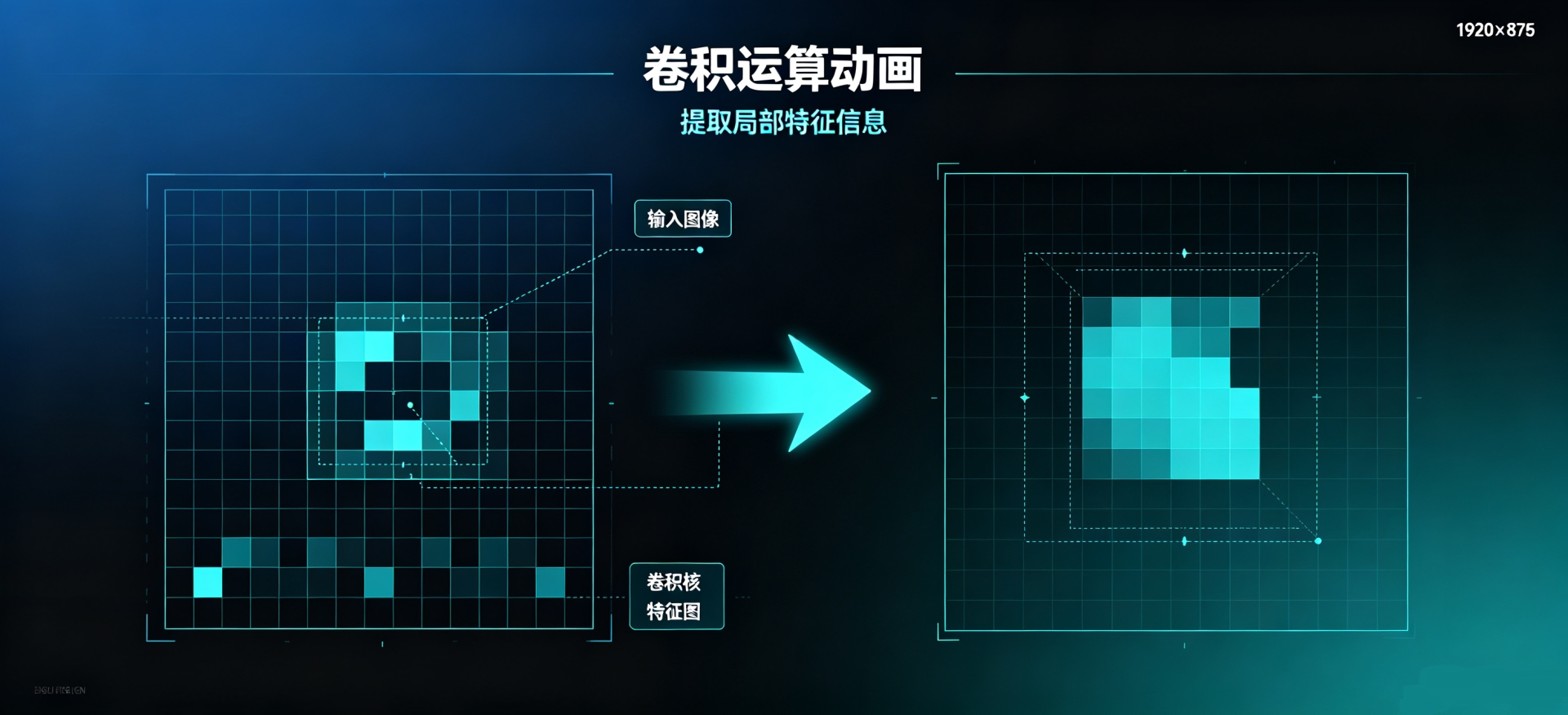 卷积运算动画