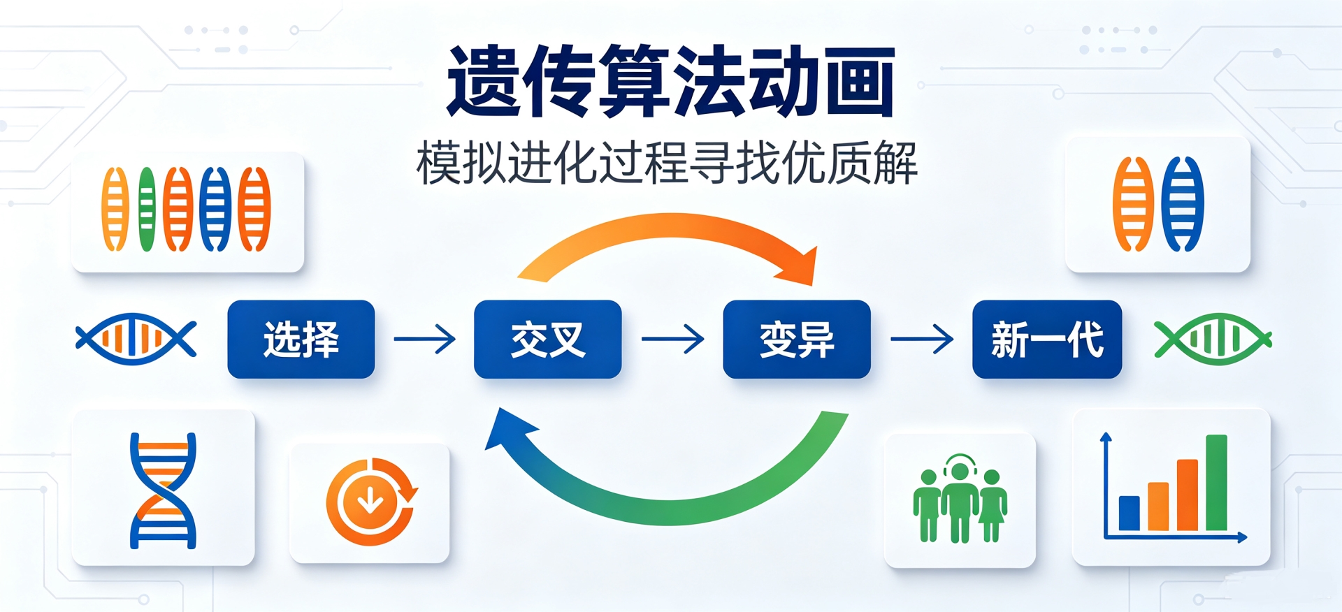遗传算法动画